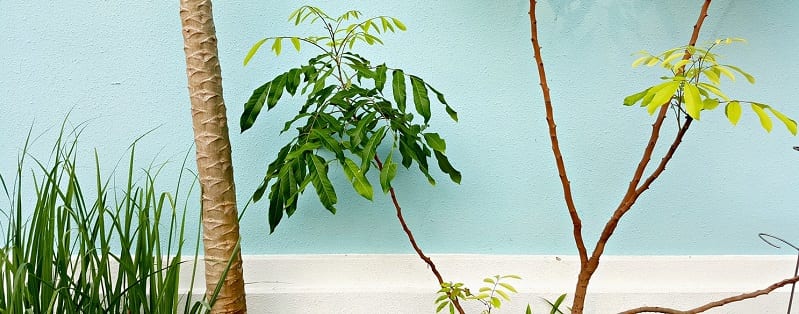 Summer design trends | Deer Park Self Storage