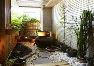 indoor garden